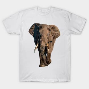 'Nell' The Gentle Giant T-Shirt